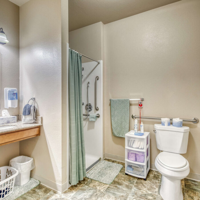 Accessible Senior Bathroom