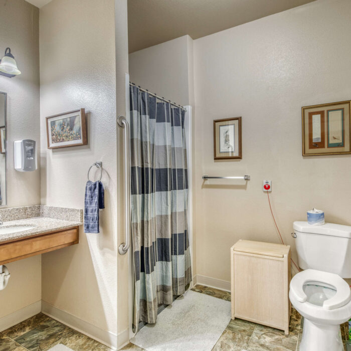 Accessible bathroom with safety bars and modern amenities