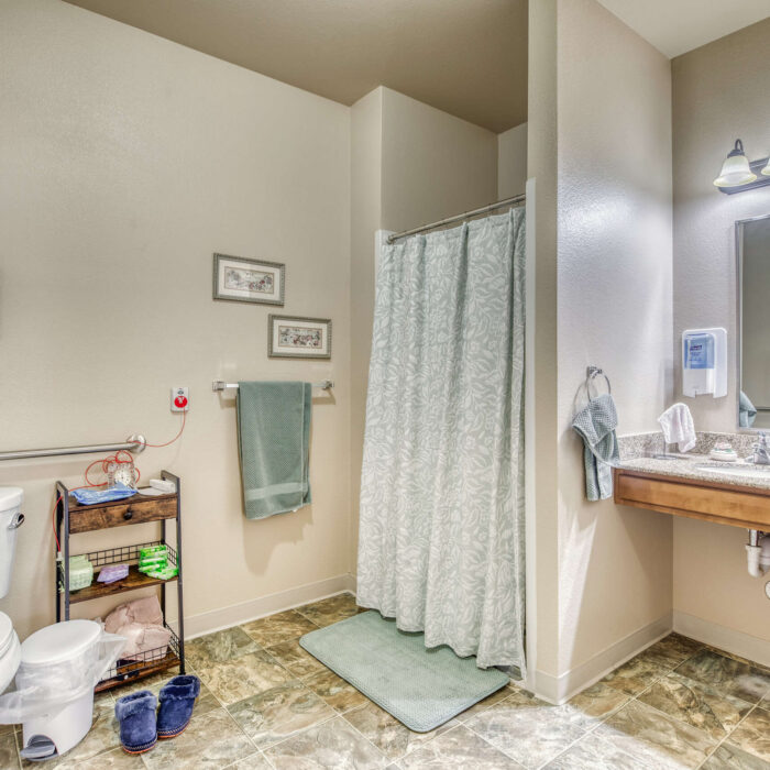 Modern accessible bathroom in assisted living suite with walk-in shower and safety bars.